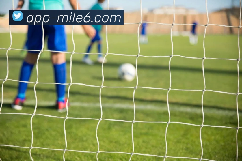 米乐体育服务体系