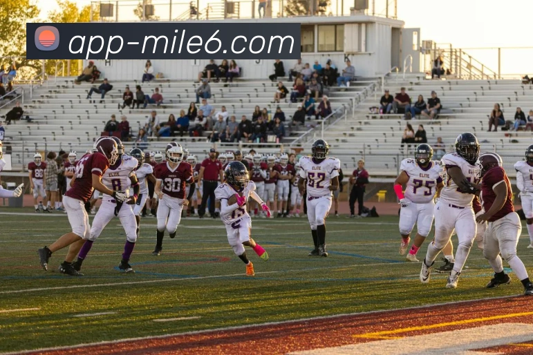 米乐体育APP 体育赛事宣传图